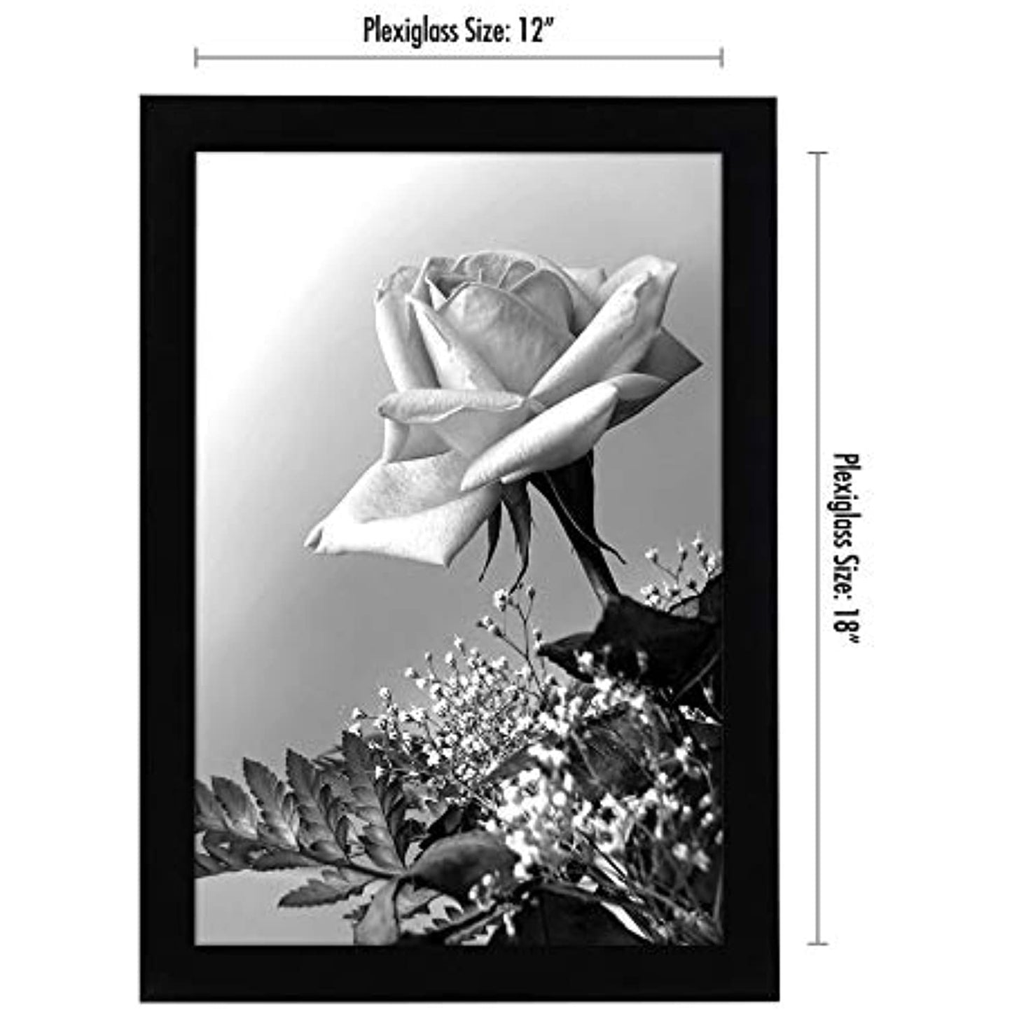 Americanflat 12x18 Poster Frame in Black with Polished Plexiglass (NEW)