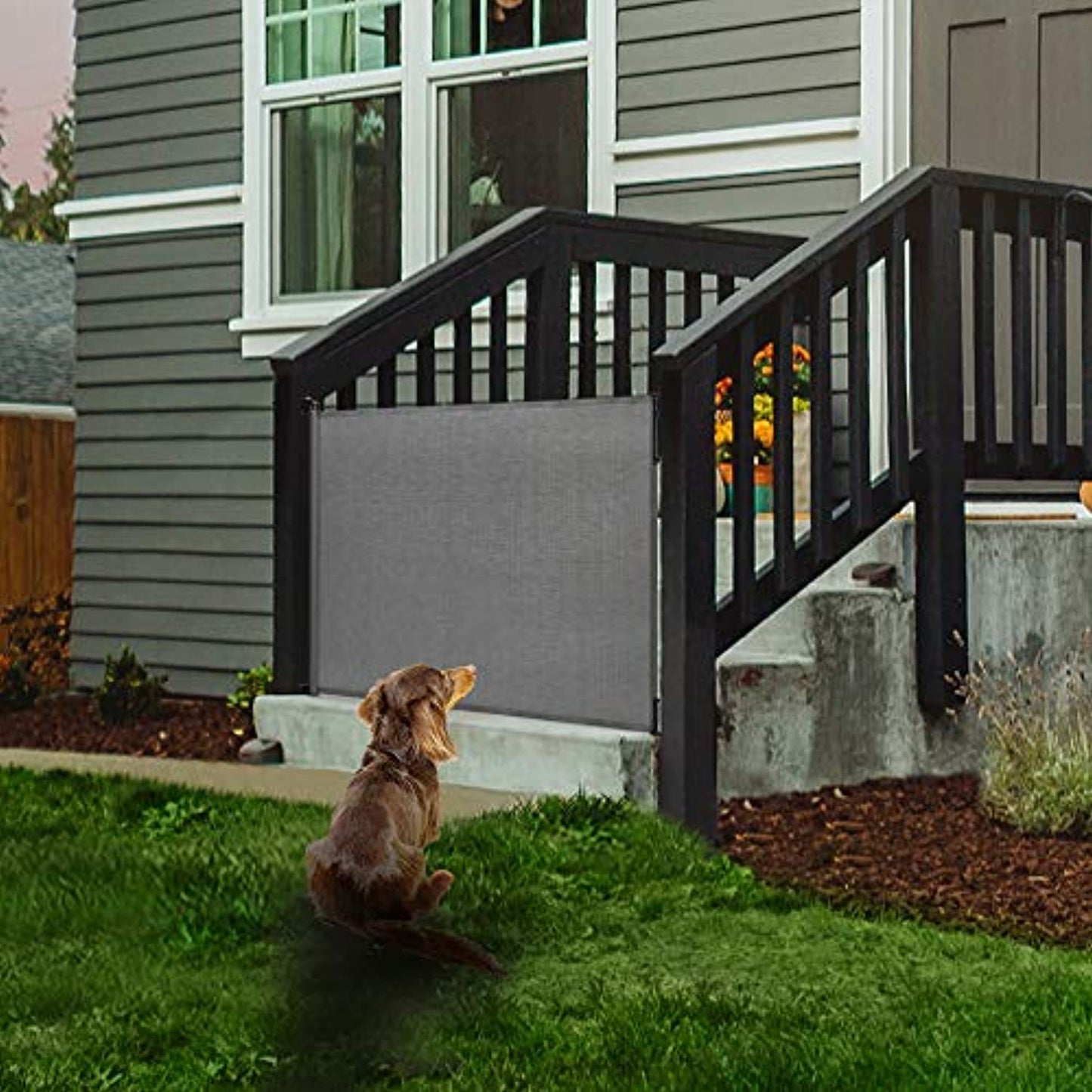 EasyBaby Extra Wide/ Tall Retractable Baby Gate Up to 71" Wide, 39.3" -Grey