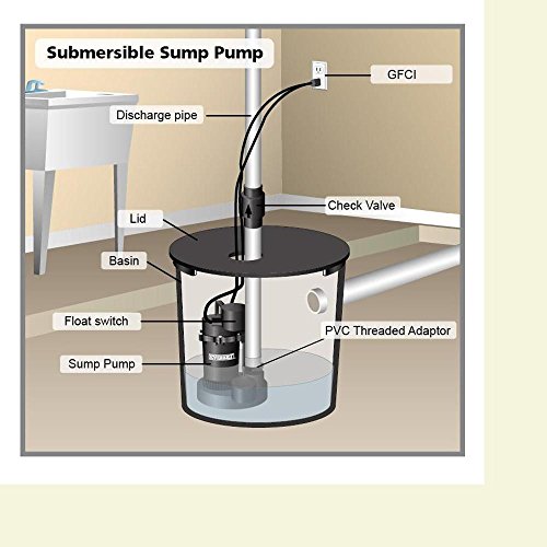 Everbilt 3/4 HP Professional Sump Pump PSSP07501VD