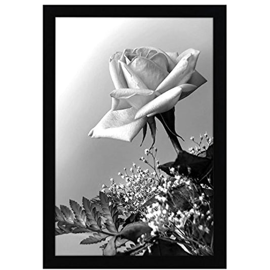 Americanflat 12x18 Poster Frame in Black with Polished Plexiglass (NEW)