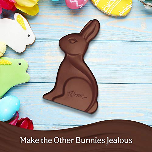 DOVE Milk Chocolate Solid Easter Bunny, 4.5 Ounce Exp: 10-2020
