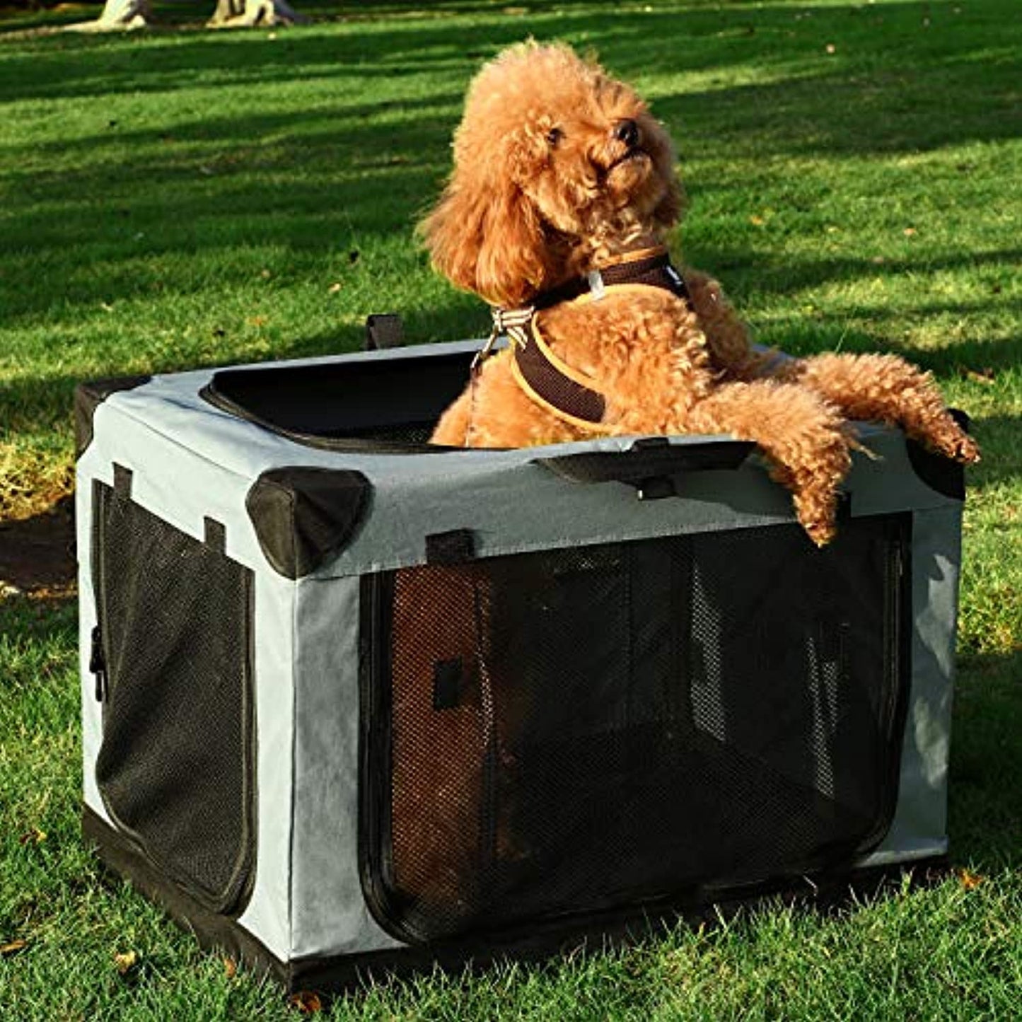 Akinerri Folding Soft Dog Pet Crate Kennel  (*OPEN BOX*)